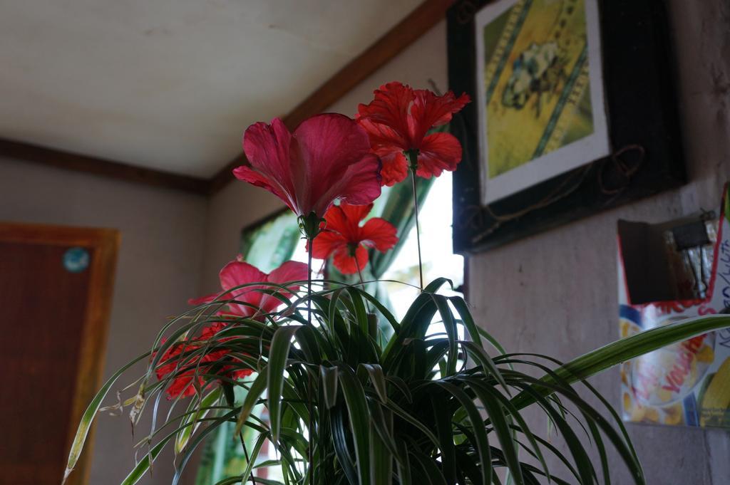 Naqalia Lodge Wayasewa Island Kültér fotó